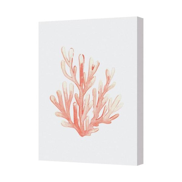 Benjamin Tate Design Pink Coral Canvas Wall Art Print for Coastal Home Decor