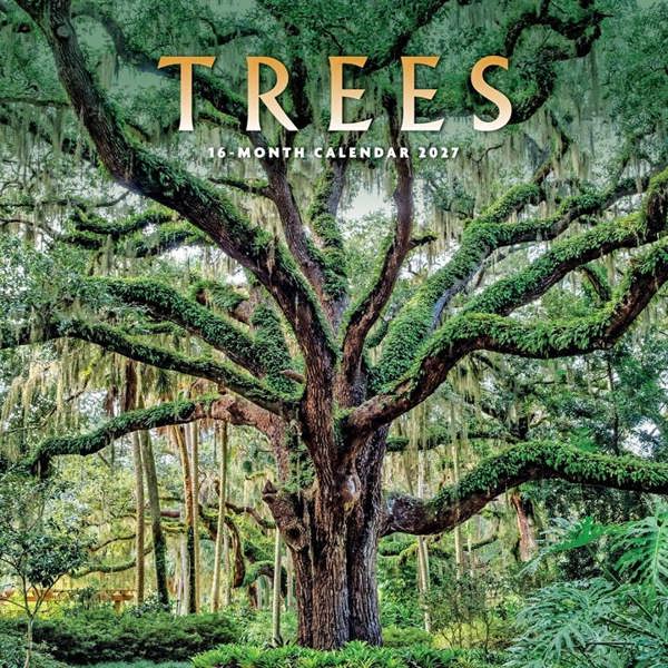 Trees Calendar 2027, Wall Calendars, Month To View, Natural World, Gift