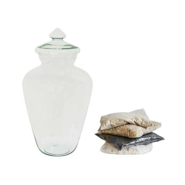 Ivyline Teardrop Glass Lid Terrarium