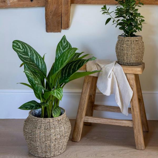 Ivyline Tula Tapered Seagrass Planter Set of 2