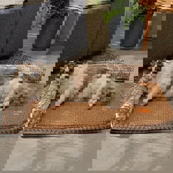 Tacchini Pet Bed, Dog Bed, Cat Bed-Weilai Concept-Weilai Concept