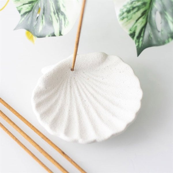 Serano Off White Scallop Shell Incense Stick Holder