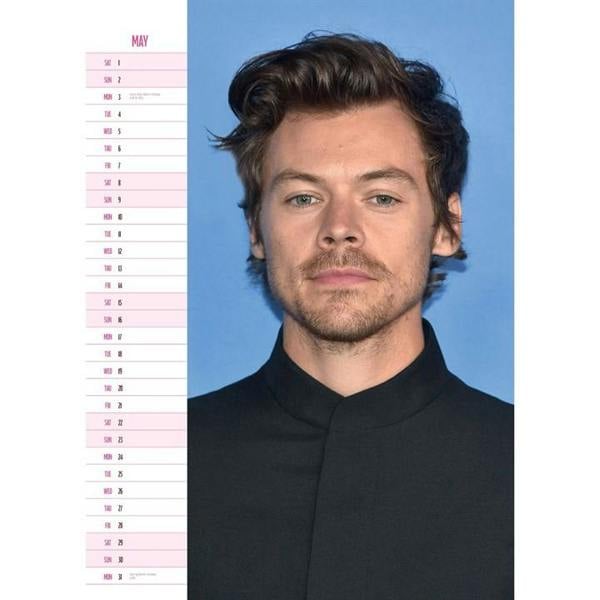 Harry Styles A3 Calendar 2027, Wall Calendars, Month To View, Entertainment, Gift