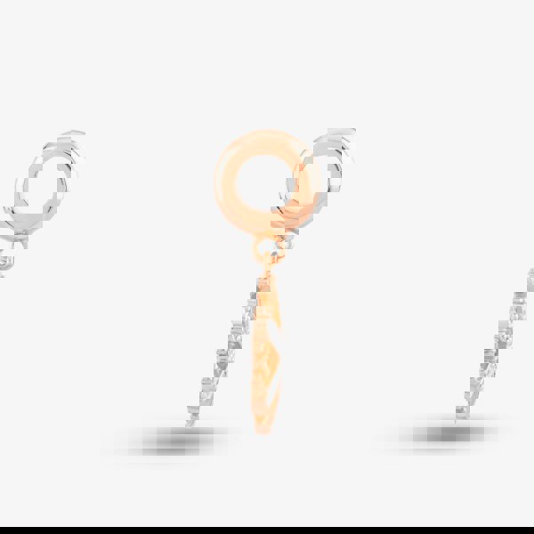 Rosa Lea Snowflake Dangle Charm AM-2THB023906