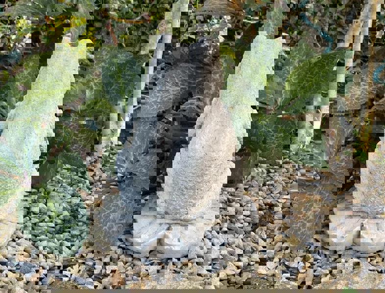 Cute Prince Frog Pond Ornament