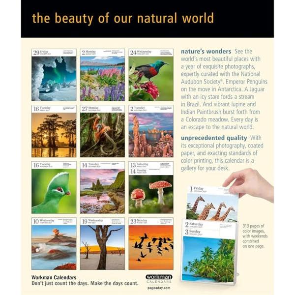 Audubon, Nature Gallery Refill Pack 2027, Desk Calendars, Day To View, Natural World, Gift