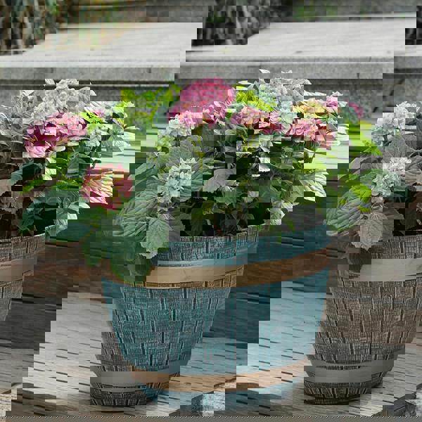 Gr8 Garden 2 x Large Blue Rustic Style Plastic Half Barrel Cask Planter Flower Plant Pot Set