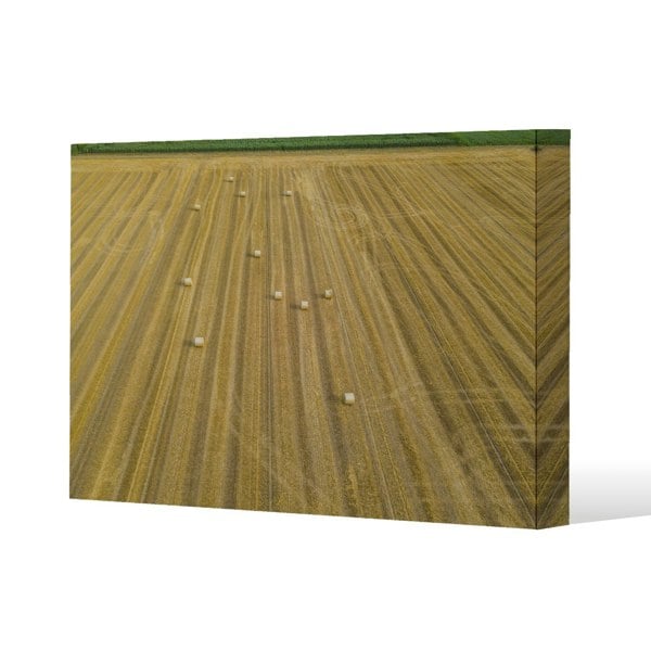 Benjamin Tate Design straw bales of wheat lying on harvested field (Canvas Print)