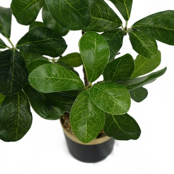 Leaf 60cm Artificial Tropical Bonsai Ficus Tree