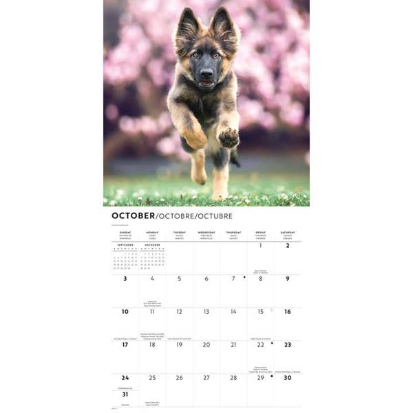 German Shepherd Puppies Calendar 2027, Wall Calendars, Month To View, Dogs, Gift