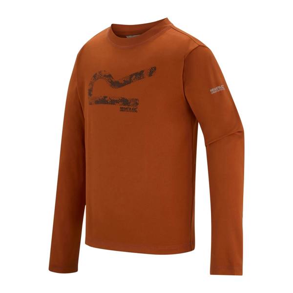 Regatta Childrens/Kids Alvarado Big Logo T-Shirt - Rooibos Tea - 