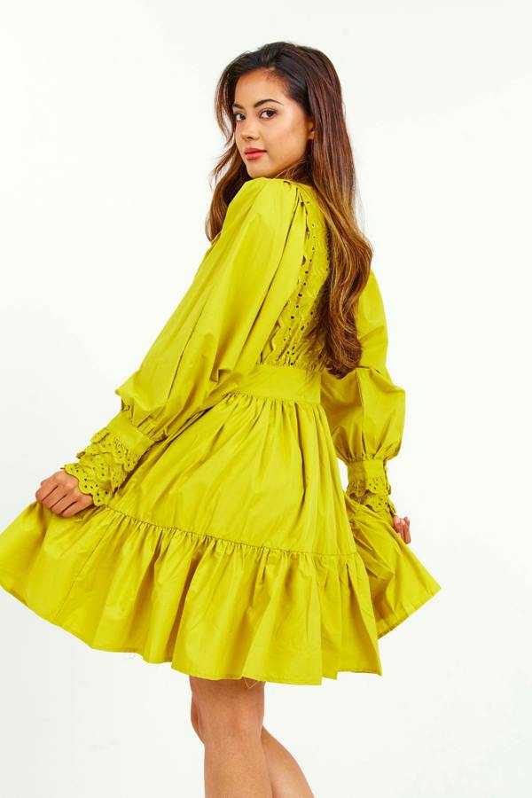 LuvForever Mustard Embroidered Ruffle Mini Dress