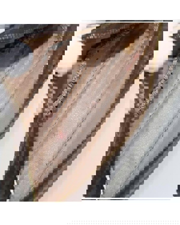 201933151.jpg