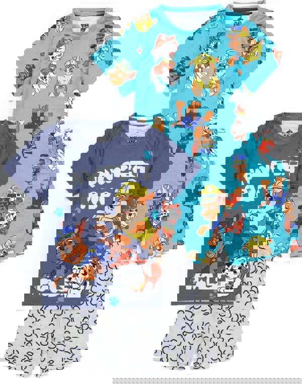 Paw Patrol Boys Multicoloured Multi Character Short Sleeve Short Leg Pyjama Set