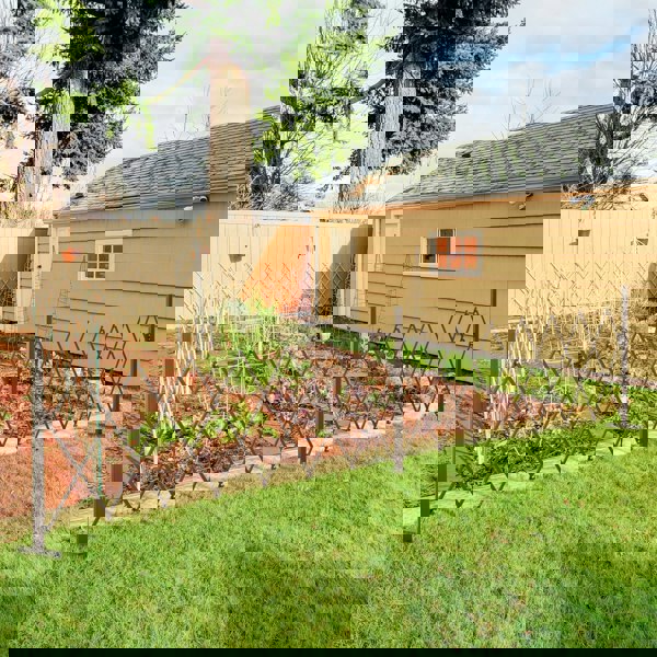 Fence
