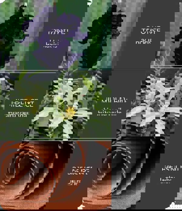 Heart & Home Black Vanilla - 2 Wick Ellipse Candle