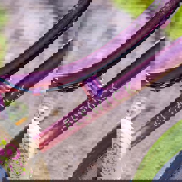 Elswick Hope 16" Kids Heritage Bike