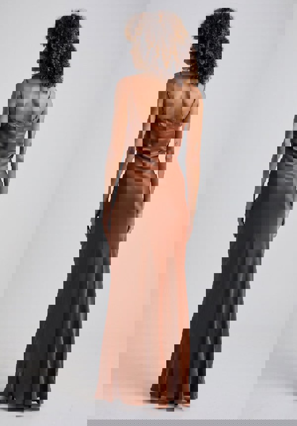 Roxy Maxi Dress in Brown