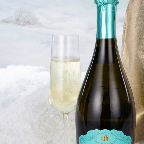 Virginia Hayward Bottle of Bubbly Christmas Gift - Prosecco Wine Gift