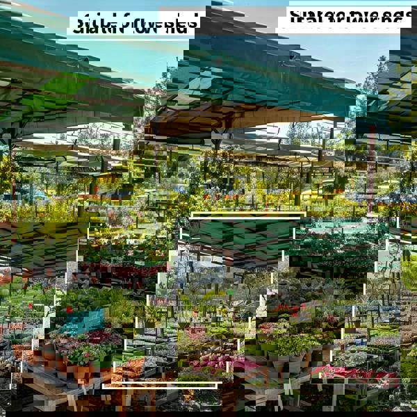 KAV Universal Premium Cover Tarpaulin Waterproof Heavy Duty Tarp with Eyelets Ground Sheet in Green for Garden Furniture, Pool, Car, Truck (10M x 12M)