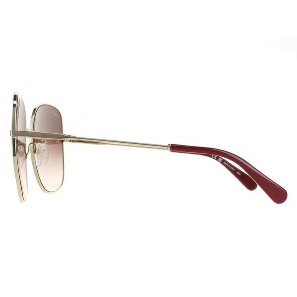 Salvatore Ferragamo Sunglasses SF300S 703 Gold Brown Gradient