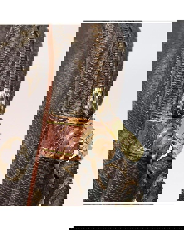 193984782.jpg