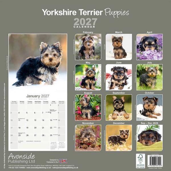 Yorkshire Terrier Puppies Calendar 2027, Wall Calendars, Month To View, Dogs, Gift