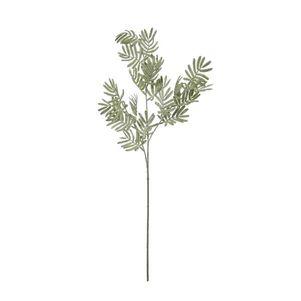 Wyld Haus Set of 3 Artificial Flowers Silver Wattle Leaf Stems