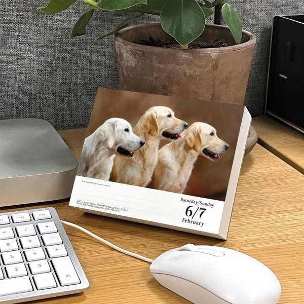 Golden Retrievers Desk Calendar 2027, Desk Calendars, Day To View, Dogs, Gift