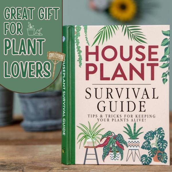 Houseplant Survival Guide - close-up detail