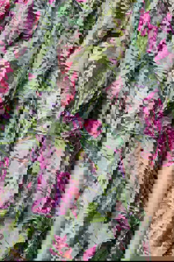 DR81665_6_P.jpg