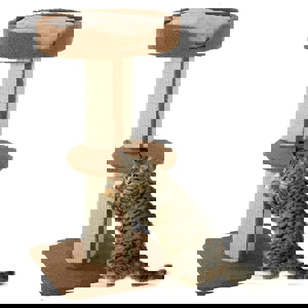 D30-269BN