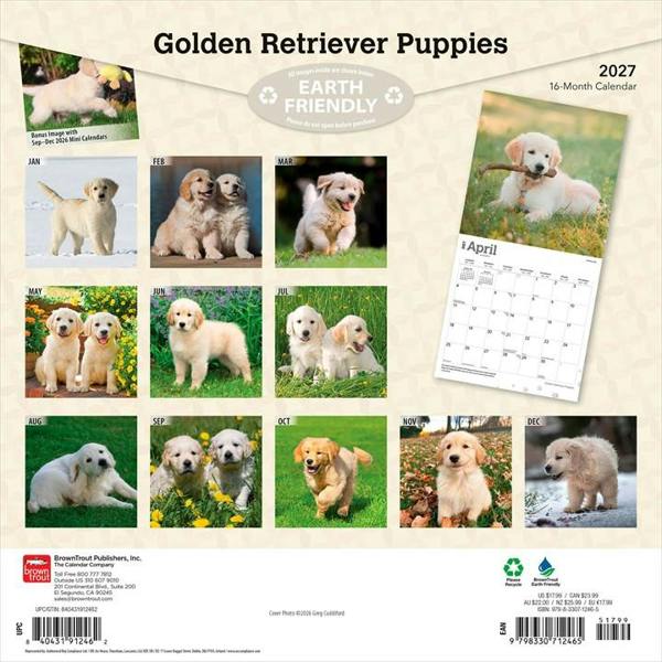 Golden Retriever Puppies Calendar 2027, Wall Calendars, Month To View, Dogs, Gift