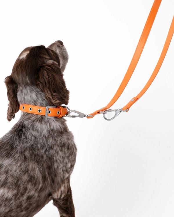 Barc London Mandarin Orange Double Ended Lead