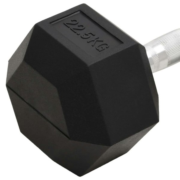 Berkfield Dumbbell 22.5 kg Cast Iron