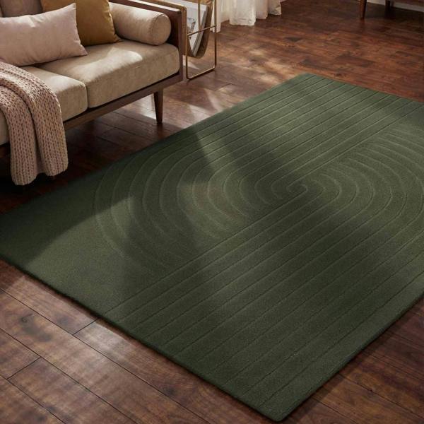 Green rug on a wooden floor in a living room setting