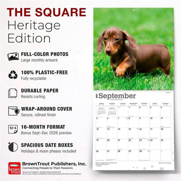 Dachshund Puppies Calendar 2027, Wall Calendars, Month To View, Dogs, Gift