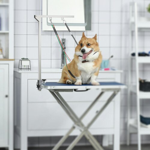 PawHut Adjustable Pet Grooming Arm w/ Clamp, Haunch Holders, Grooming Loop
