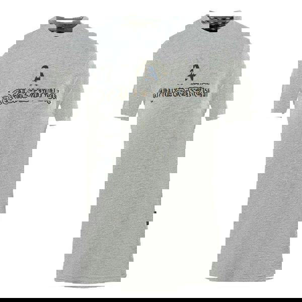 Aquascutum Unisex Adult Script Logo T-Shirt - Grey - 