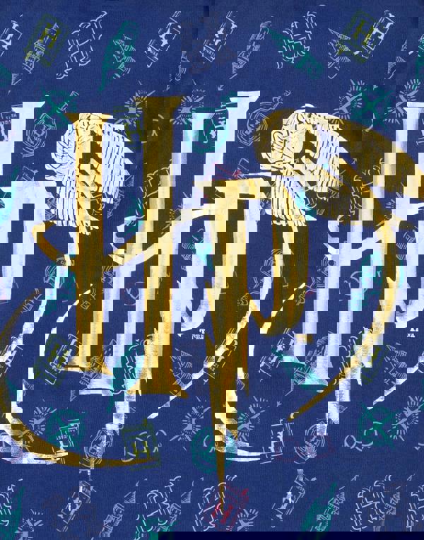 Harry Potter Girls Blue Short Sleeve Short Leg Pyjama Set