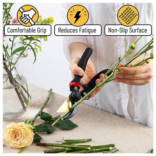 Dragodirect 8-Inch Pruning Shears Garden Shears Scissors Tools Garden