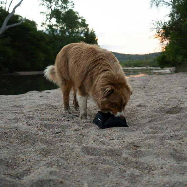 EzyDog Fold-A-Bowl Collapsible Dog Bowl