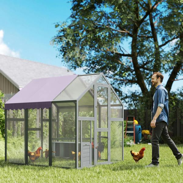 Chicken Coop