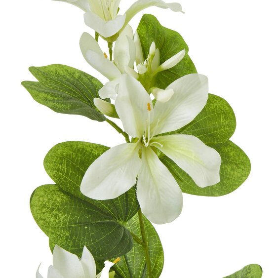 Wyld Haus Set of 3 Artificial Flowers Cream Bauhinia Orchid Sprays
