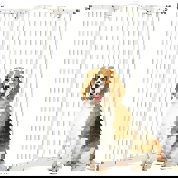 D06-094V03WT