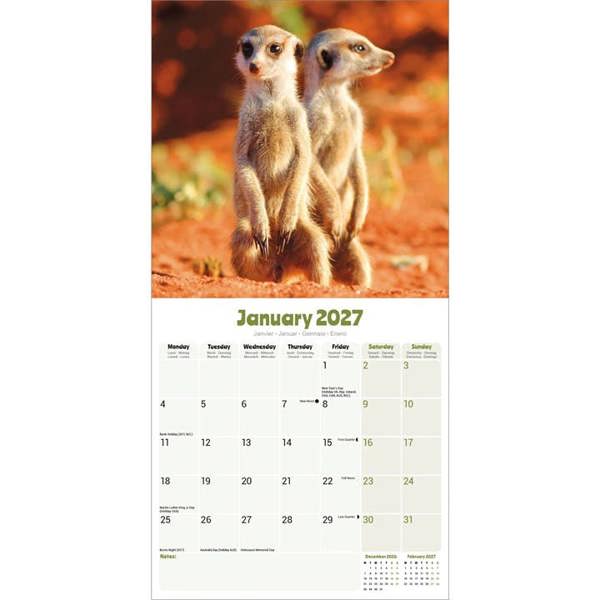 Meerkats Calendar 2027, Wall Calendars, Month To View, Animals, Gift