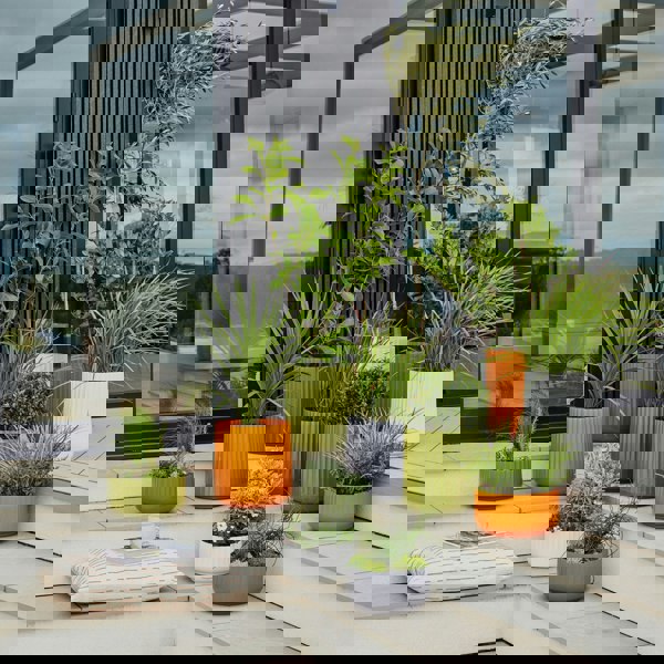 #color_orange