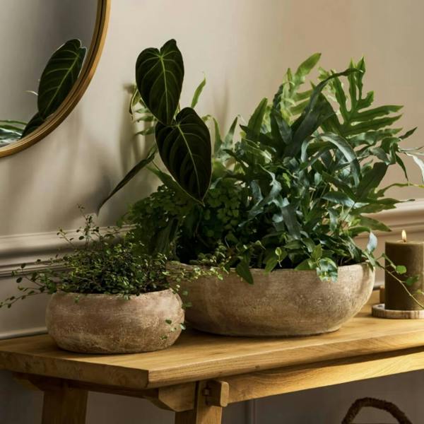 Antique Terracotta Plant Bowl with rustic brown finish styled on a wooden bench with indoor ferns.
