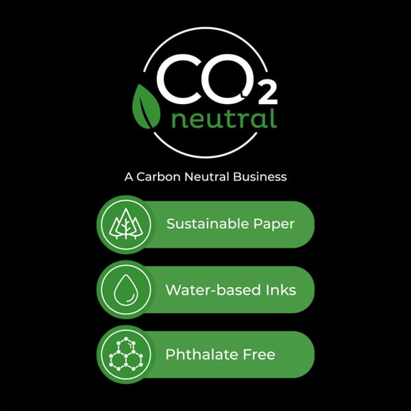 Shabby Chic Rachel Ashwell Wild Flower Wallpaper | Off White