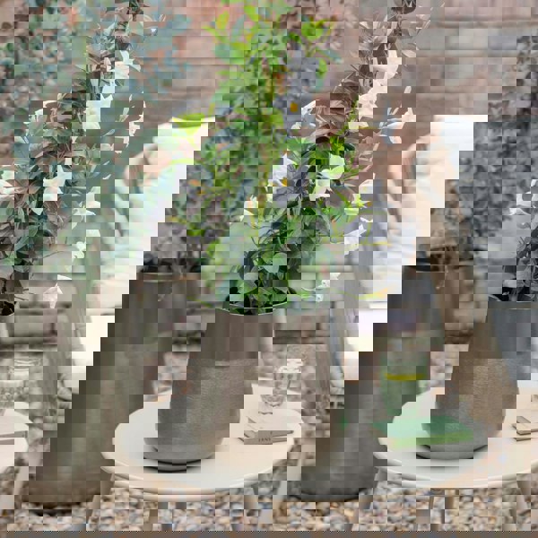 #color_pewter
